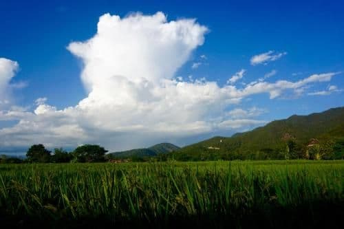 Blue Sky Resort Pai Blue Sky Resort Pai
