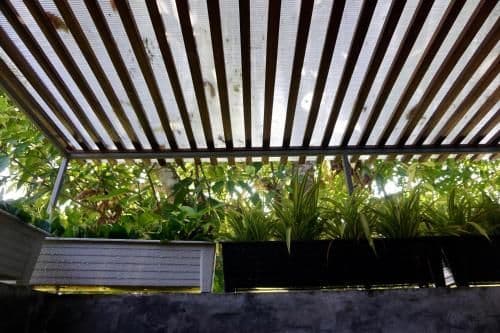 Deluxe Bungalow