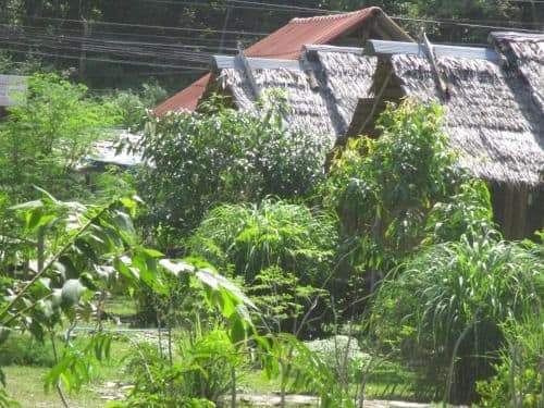 Bungalow with Garden View