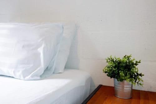 Single Room with Shared Bathroom
