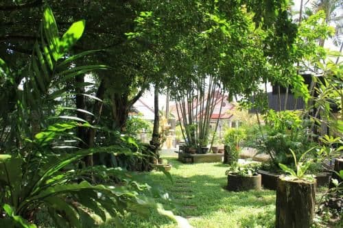 Studio with Garden View