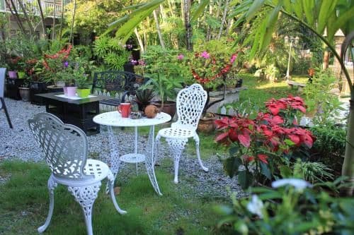 Studio with Garden View