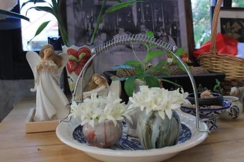 Studio with Garden View