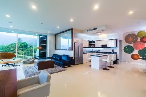 Penthouse Apartment