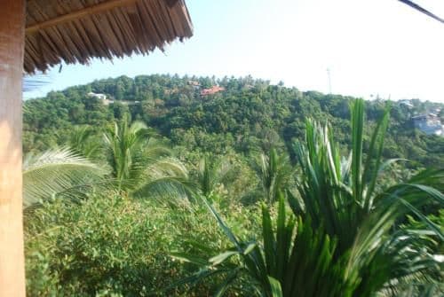 Standard Double Room (Garden Villa)