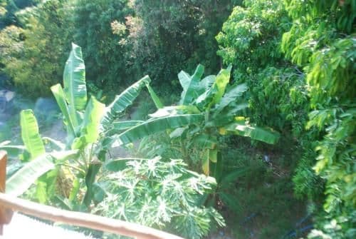 Standard Double Room (Garden Villa)