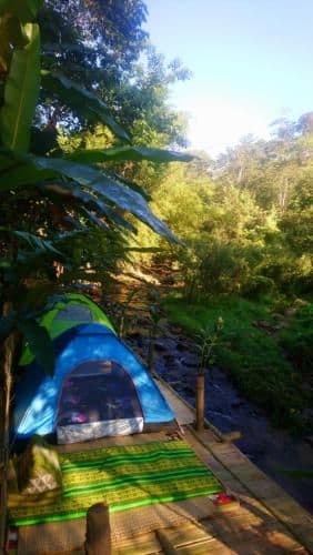 Chiangrai Banana Home Chiangrai Banana Home