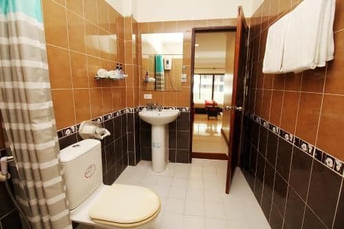 Deluxe Double or Twin Room with Balcony