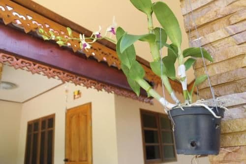 Family Bungalow