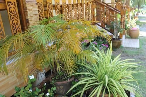 Family Bungalow