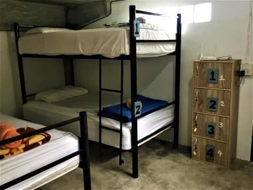 Bed in 8-Bed Dormitory Room