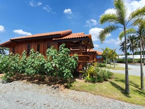 Single Room with Terrace