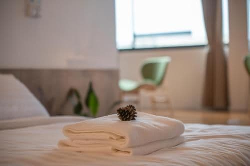 Duplex Apartment