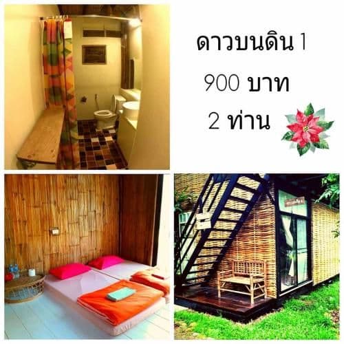 Standard Twin Room with Mountain View