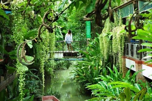 หัตถาธารา รีสอร์ท หัตถาธารา รีสอร์ท