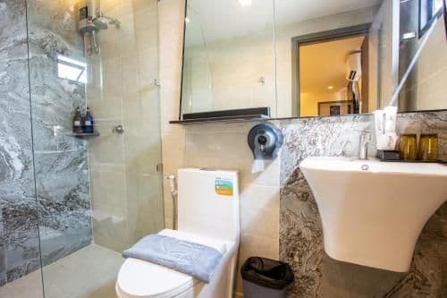 Deluxe Double or Twin Room with City View