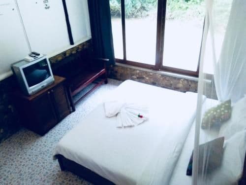 Deluxe Double or Twin Room with River View