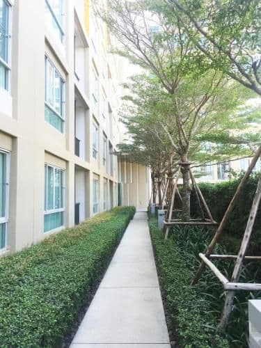 Apartment - Ground Floor