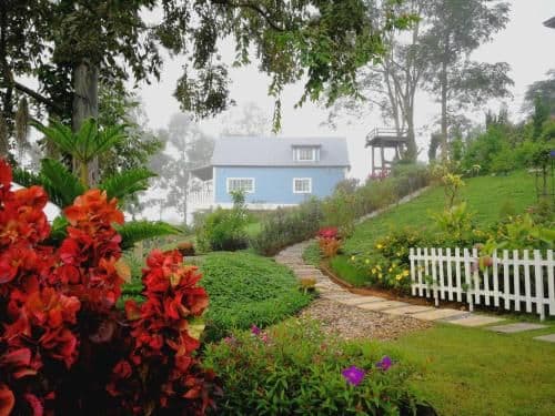 Holiday Home