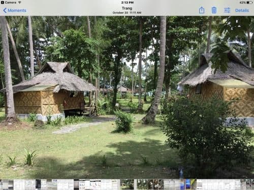 Bamboo Hut
