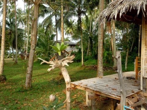 Bamboo Hut