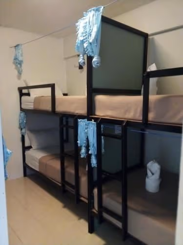 Bunk Bed in Mixed Dormitory Room