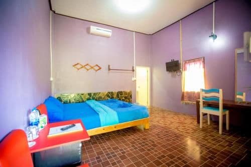 Double Room with Terrace