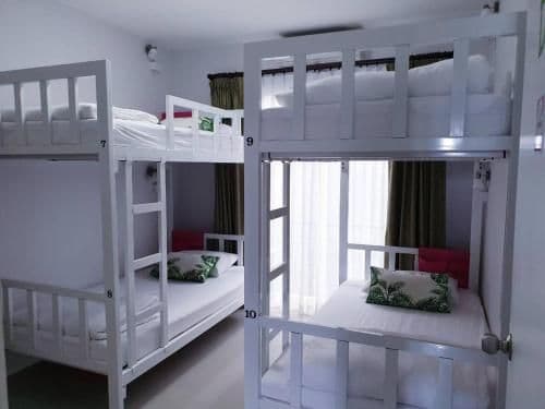 Bed in 4-Bed Mixed Dormitory Room