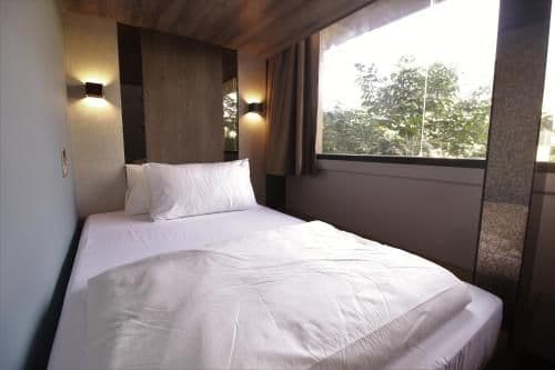 Deluxe Double or Twin Room with City View