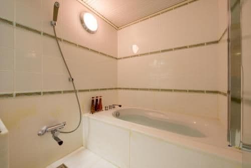 Deluxe Twin Room - Non Smoking