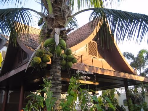 Holiday Home
