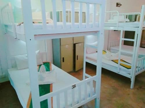 Bed in 10-Bed Mixed Dormitory Room