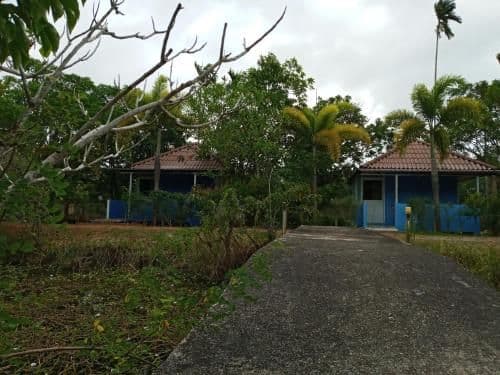 Single Room with Garden View