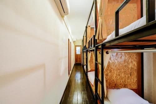 Bunk Bed in Female Dormitory Room