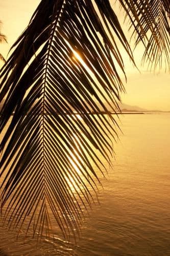 Villa - Beach Front