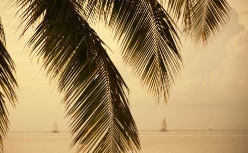 Villa - Beach Front
