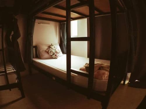 Bunk Bed in Mixed Dormitory Room