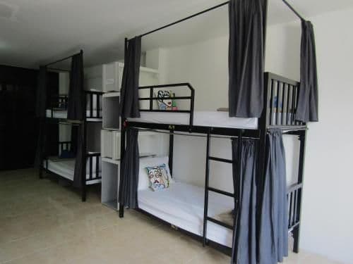 Bunk Bed in Mixed Dormitory Room
