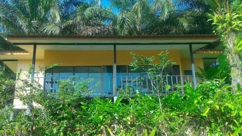 Superior Double or Twin Room with Mountain View