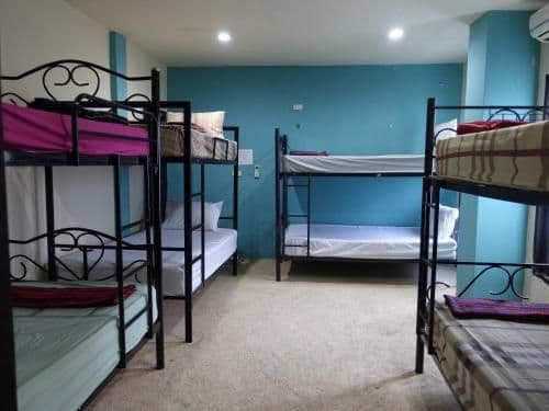 Bed in 8-Bed Mixed Dormitory Room