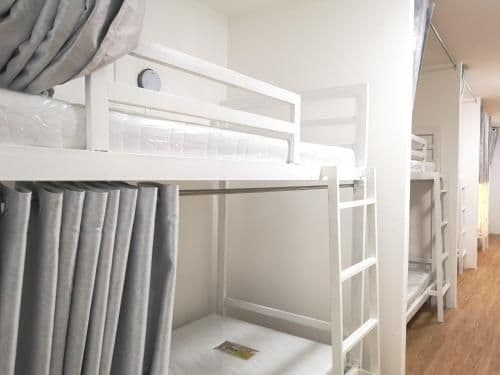 Bunk Bed in Mixed Dormitory Room