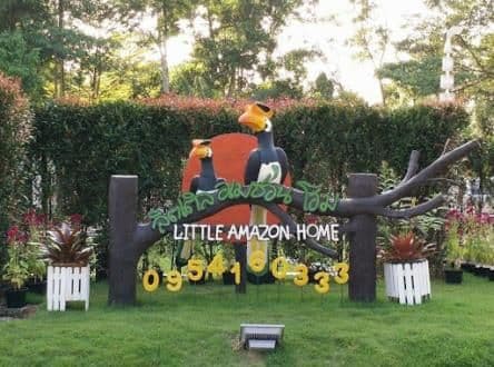 Little Amazon Home