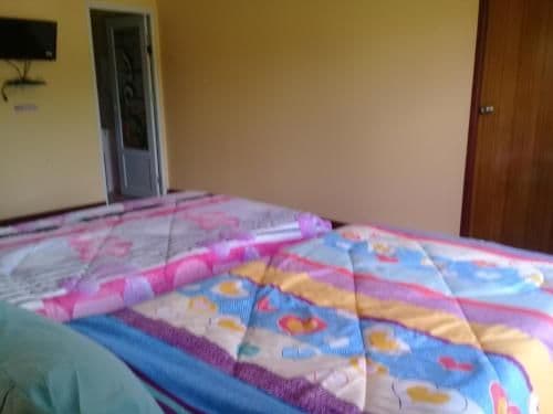 Twin Room with Private Bathroom
