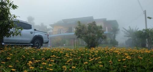 Holiday Home