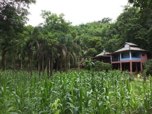Farmstay @ Pha Ma Resort Farmstay @ Pha Ma Resort