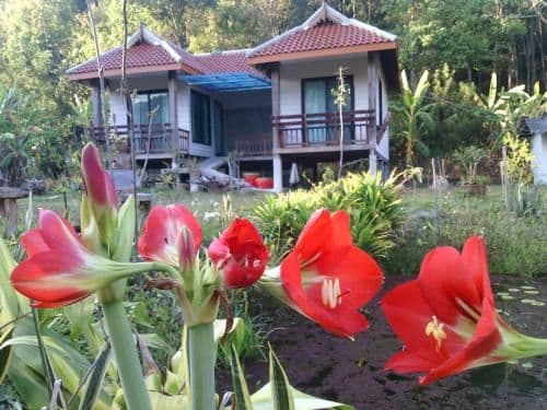 Standard Bungalow