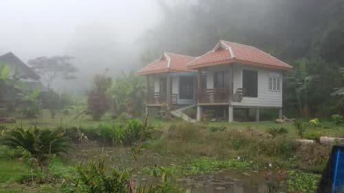 Standard Bungalow