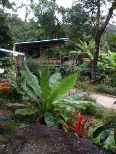 Bungalow - Water Front
