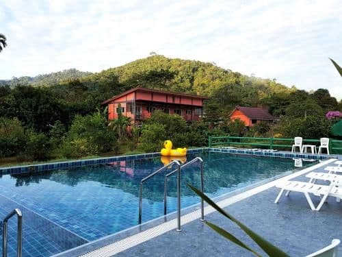 Khao Sok Country Resort
