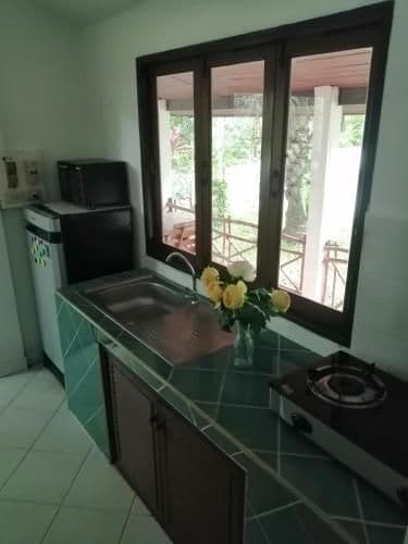 Apartment with Garden View
